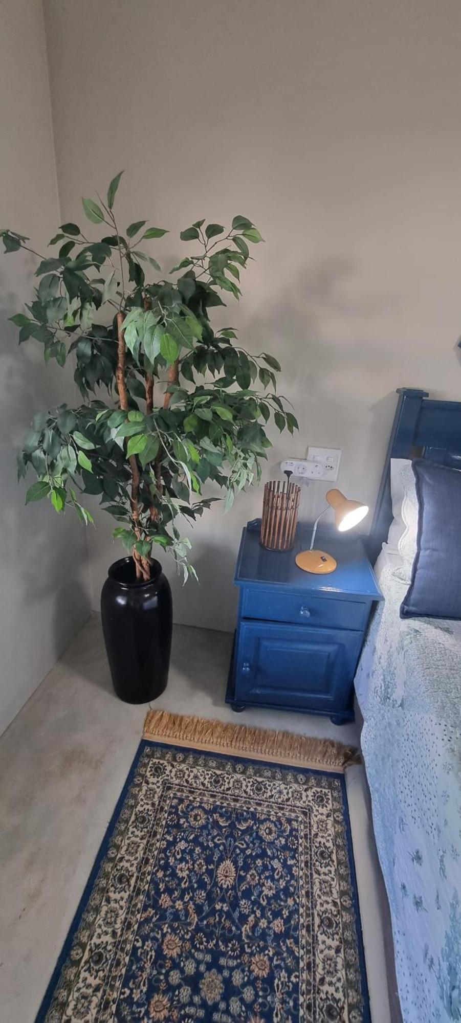 Apartment Makarli Blu St Helena Bay